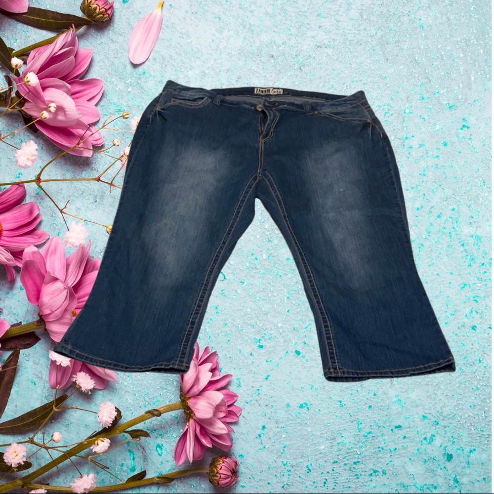 Zanadi Jean capris plus size 24